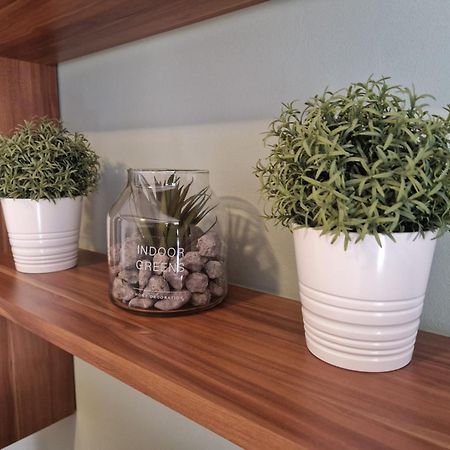 Tony Apartments Rovinj Zewnętrze zdjęcie